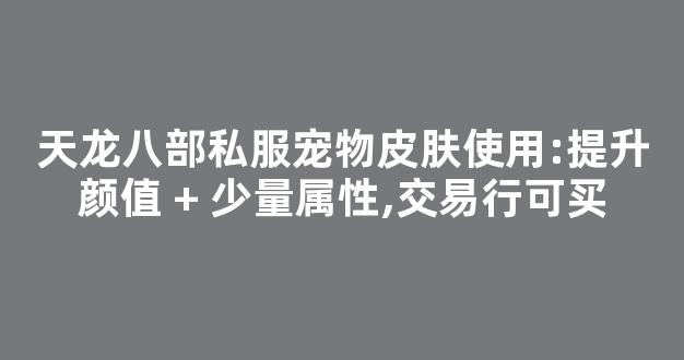 天龙八部私服宠物皮肤使用:提升颜值 + 少量属性,交易行可买